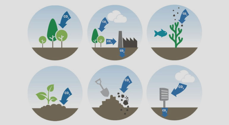 Klimaforschungsinstituts MCC (Mercator Research Institute on Global Commons and Climate Change) Hauptsache raus: Für CO2-Entnahme gibt es diverse Methoden.