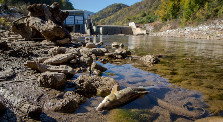 EURONATUR | Amel Emric | Der Staudamm Jadar in Bosnien-Herzegowina. Wasserkraftwerke zerstören die Artenvielfalt der Flusslandschaften. 20-30 Fischarten dürften aussterben, sollten die in Europa geplanten Anlagen realisiert werden.