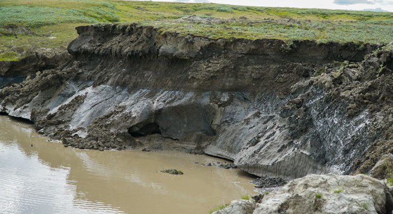 Permafrost peatlands approaching tipping point