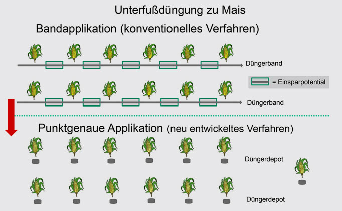 Max Bouten/TH Köln | Bei der herkömmlichen Unterfußdüngung wird ein kontinuierliches Düngeband ausgebracht (oben), bei der punktgenauen Applikation erhält jedes Saatkorn synchron zur Kornablage eine kleine Düngerportion.