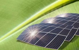 Depositphotos | muratart