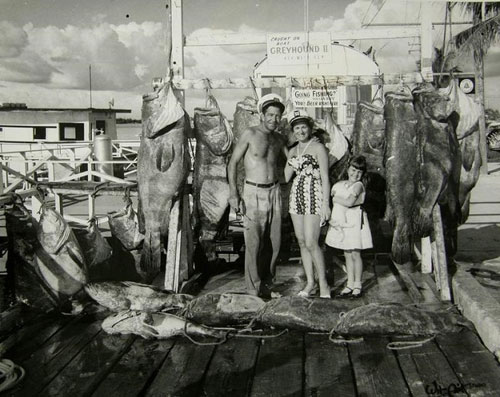 Monroe County Public Library/Colby Climate Project | Key West, Florida, 1956: Die Fische, die man damals stolz präsentierte, waren noch riesig - heute sind sie oft nur noch so lang wie ein Unterarm.