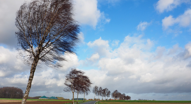 Klimabedingte Naturkatastrophen 2020