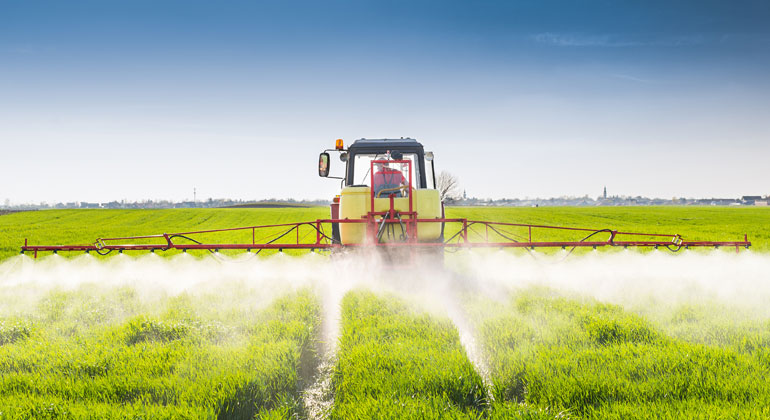 Fehlerhafte Studien könnten Glyphosat zur Wiederzulassung verhelfen