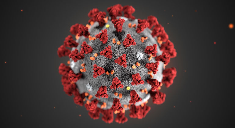 This illustration, created at the Centers for Disease Control and Prevention (CDC), reveals ultrastructural morphology exhibited by coronaviruses. Note the spikes that adorn the outer surface of the virus, which impart the look of a corona surrounding the virion, when viewed electron microscopically. A novel coronavirus virus was identified as the cause of an outbreak of respiratory illness first detected in Wuhan, China in 2019. | Image and Caption Credit: Alissa Eckert, MS; Dan Higgins, MAM available at https://phil.cdc.gov/Details.aspx?pid=23311