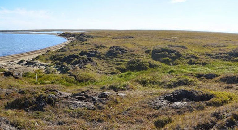 M. Bayani Cardenas, University of Texas at Austin | Panoramic image showing one of the research team’s study sites near Kaktovik, Alaska. Shallow groundwater flows beneath the tundra surface into the adjacent lagoon.