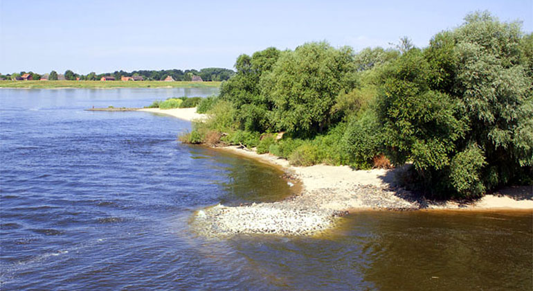 NABU/Claus Hektor | Die Idylle trügt. Begradigungen, eine durchgehende Fixierung des Flussbettes, Eindeichungen und Staustufen belasten das Ökosystem der Elbe schwer.