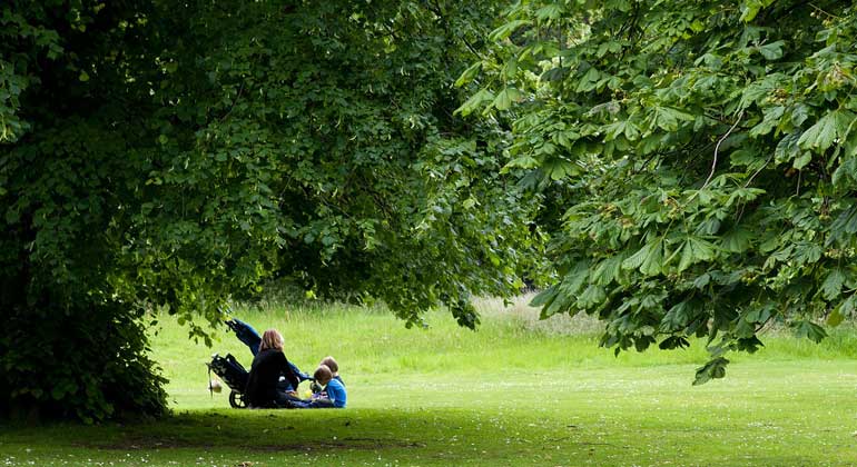 Stadtgrün ist Millionen wert