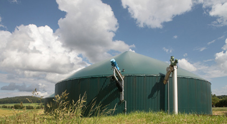 STUDIE: Beste Biomassenutzung im deutschen Energiesystem