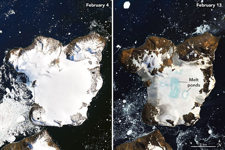 Joshua Stevens/​NASA Earth Observatory | February 4 - 13, 2020 | Eagle Island off the Antarctic Peninsula: Here, ice loss was particularly high last month.