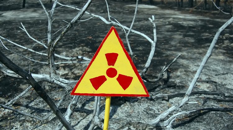 Depositphotos | sergeyussr