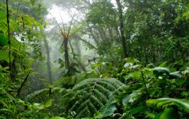 istockphoto.com | PacoRomero