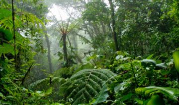 istockphoto.com | PacoRomero