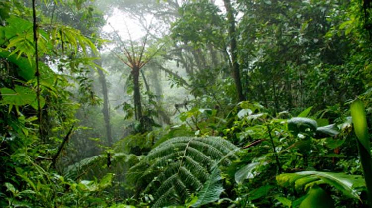 istockphoto.com | PacoRomero