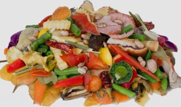 Depositphotos | vilaxlt