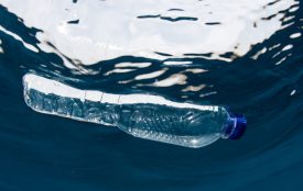 Depositphotos | ead72