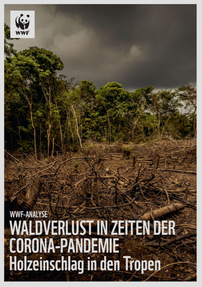 WWF | „Der Schutz der Wälder ist eine gemeinsame Aufgabe der Staatengemeinschaft, der sich keiner entziehen kann. Wir müssen die weltweite Entwaldung dringend stoppen und neue naturnahe Wälder aufbauen, sonst könnte COVID-19 nur ein Vorgeschmack auf künftige Krisen sein. Wir wissen mittlerweile, dass die Ausbrüche vieler Infektionskrankheiten in direktem Zusammenhang mit Waldrodungen stehen," so Christoph Heinrich.