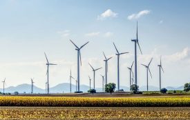 pixabay.com | Markus-Distelrath | Bislang werden der Windkraft nur Steine in den Weg gelegt. Ein Umdenken ist erforderlich.