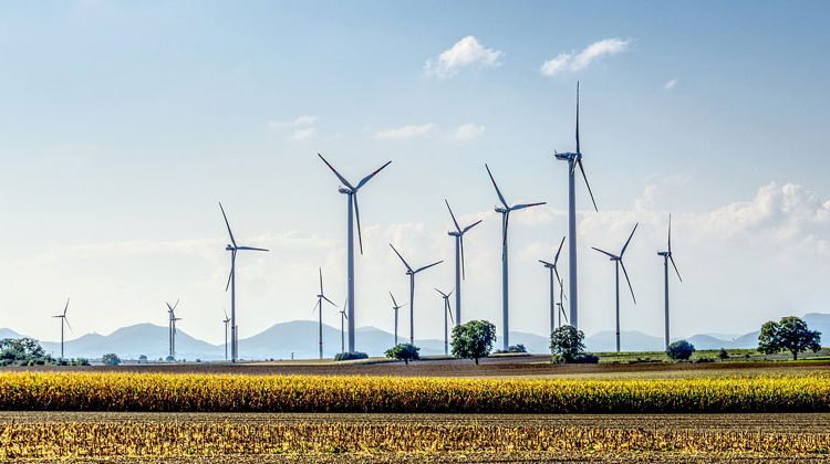 pixabay.com | Markus-Distelrath | Bislang werden der Windkraft nur Steine in den Weg gelegt. Ein Umdenken ist erforderlich.