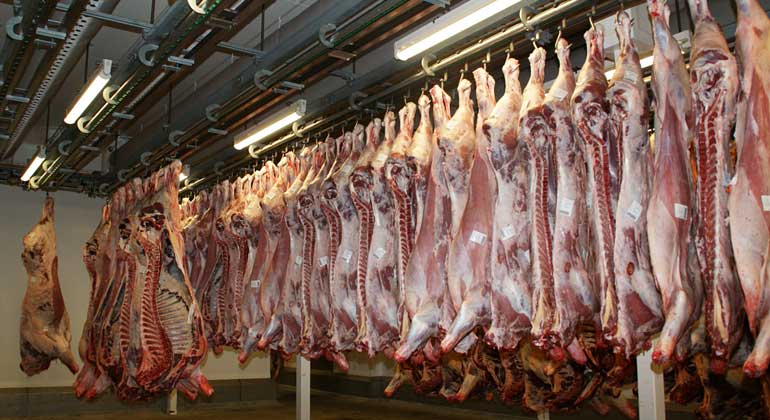 Emissionen von Europas Fleischwirtschaft steigen