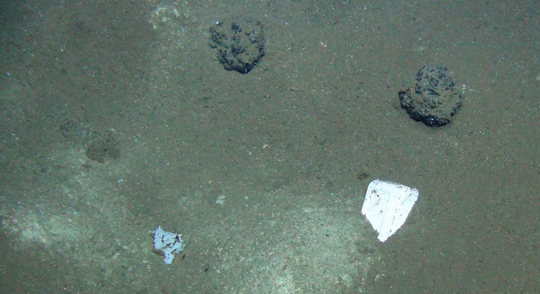 GEOMAR | ROV-Team | Curd cheese packing next to manganese nodules in more than 4000 meters water depth.