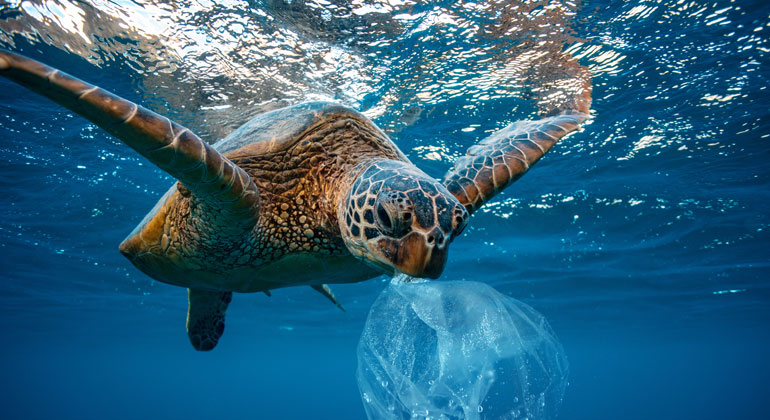 Plastikverschmutzung wird zum globalen Problem