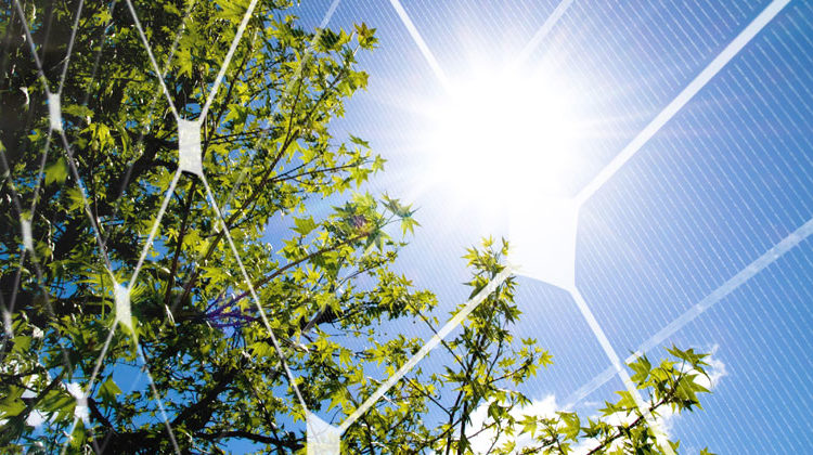Depositphotos | ldambies | 61 Prozent der Deutschen sind f&uuml;r eine Abschaffung des 52-GW-Solardeckels.