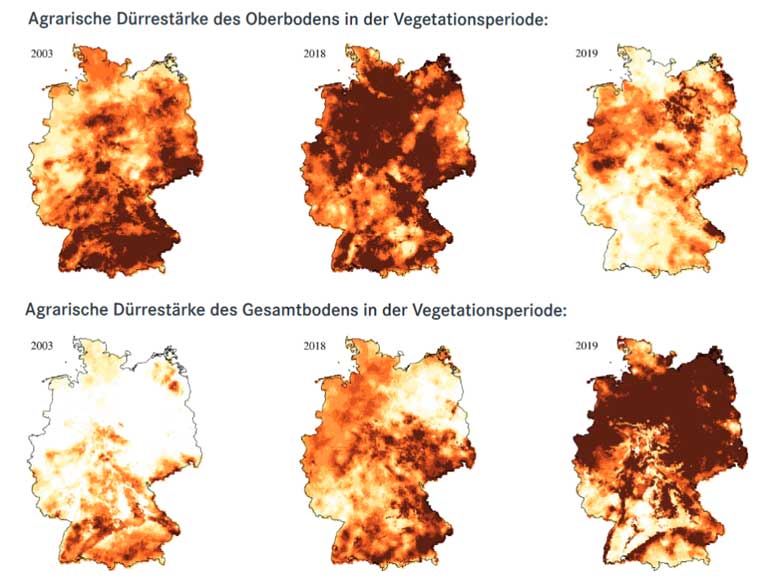 klimafakten.de | In den letzten Jahren hat sich das Ausmaß von Dürre in Deutschland sowohl für den Oberboden als auch für den Gesamtboden deutlich verstärkt. Vor allem das Jahr 2003 sowie die Jahre 2018 und 2019 waren extrem trocken. Die meteorologische, hydrologische und landwirtschaftliche Dürre hat zu großen sozio-ökonomischen Problemen geführt.