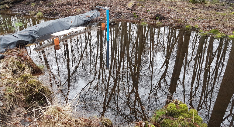 Johannes Meßer/Lippe Wassertechnik GmbH | Die Deutsche Bundesstiftung Umwelt rät dazu, Wasser in der Landschaft zu halten, wie hier durch einen temporären Damm im Deutener Moor.