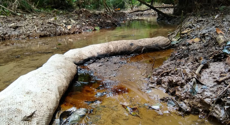 Ecuador: Die stille Umweltkatastrophe im Amazonas