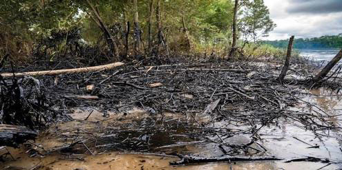 infosperber.ch | Telmo Ibarburu/mutantia.ch | Erdöl verschmutzt die Ufer des Rio Coca, Anfang April 2020