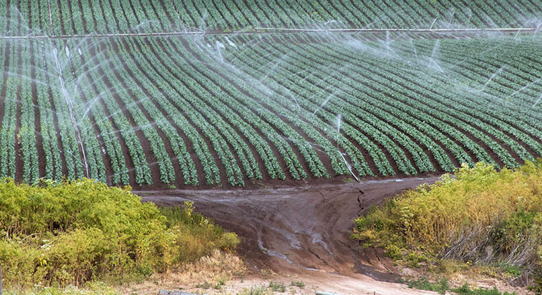 Klimawandel und Landnutzung beschleunigen die Bodenerosion durch Wasser