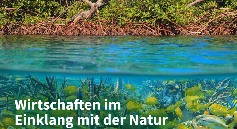 NABU | Studie: Wirtschaften in Einklang mit der Natur - Handlungswege zur Sicherung der Biodiversität.