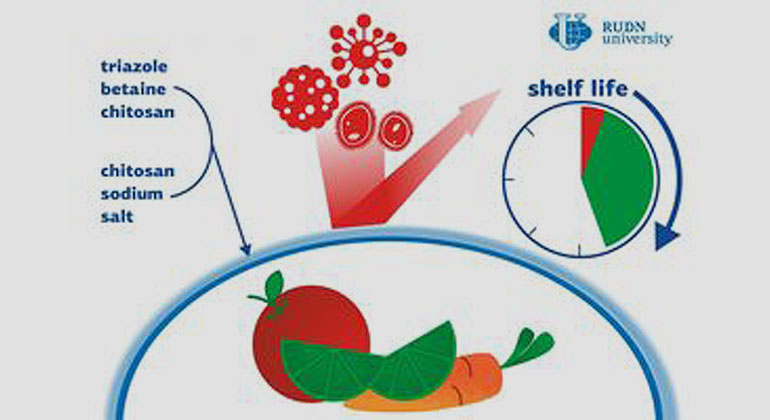 Biofolie hält Lebensmittel achtmal länger frisch