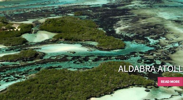 Seychelles Islands Foundation | Aldabra Atoll