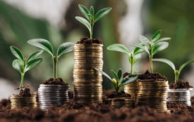 Depositphotos.com | Vadim Vasenin