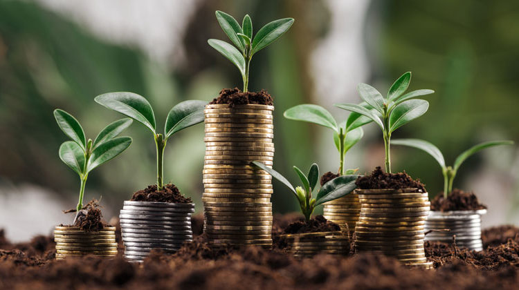 Depositphotos.com | Vadim Vasenin