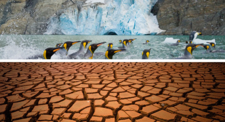 The Nexus Report: Nature Based Solutions to the Biodiversity and ...