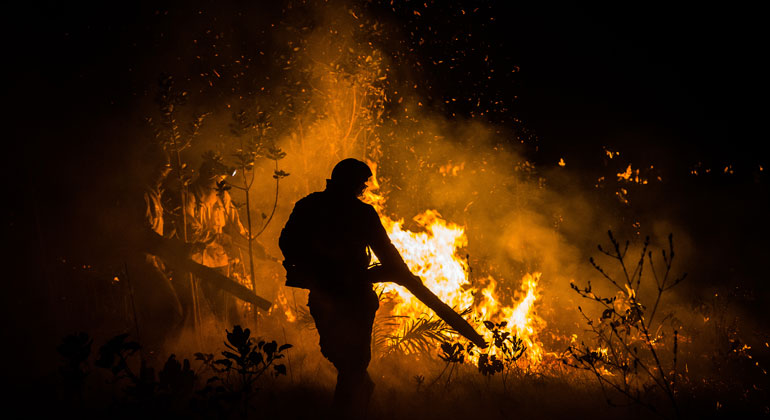 Universität Hohenheim | Fernando-Tatagiba | The fragile ecosystem of the Cerrado is increasingly threatened by forest fires.