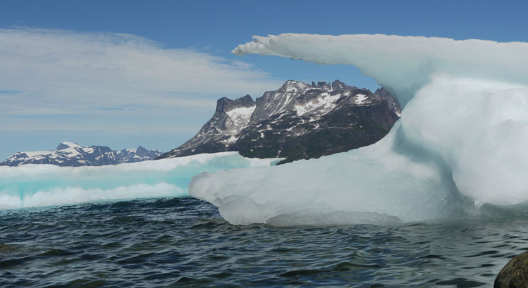 Slowing down global sea level rise by delaying the melting of specific glaciers in Greenland and Antarctica