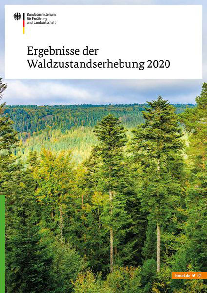 BMEL | Waldzustandserhebung 2020