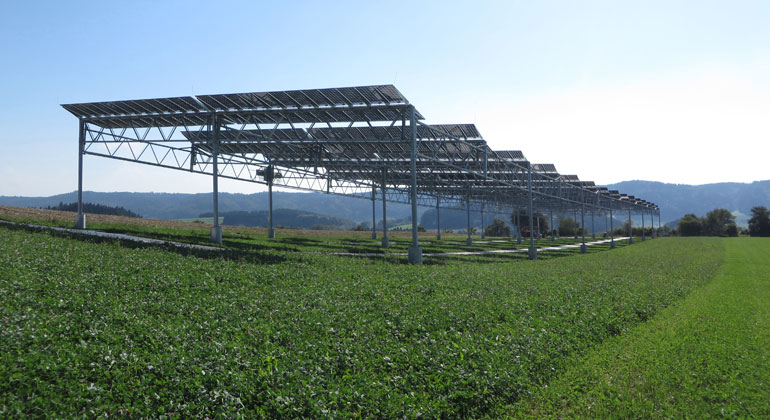 Auf Ackerflächen doppelt ernten: Leitfaden zur Agri-Photovoltaik erschienen
