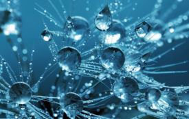 pixabay.com | InspiredImages | Wassertropfen