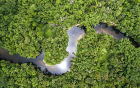 Depositphotos.com | gustavofrazao