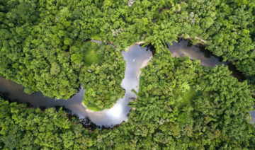 Depositphotos.com | gustavofrazao