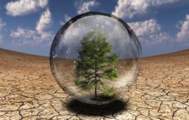 Depositphotos.com | rolffimages