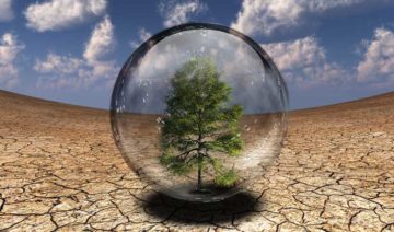 Depositphotos.com | rolffimages