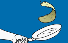 ÖkoInstitut | oeko.de | Podcast