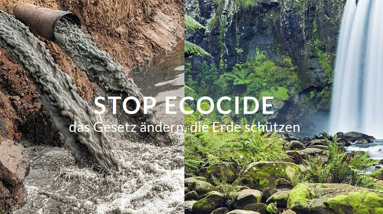 stopecocide.de 2021