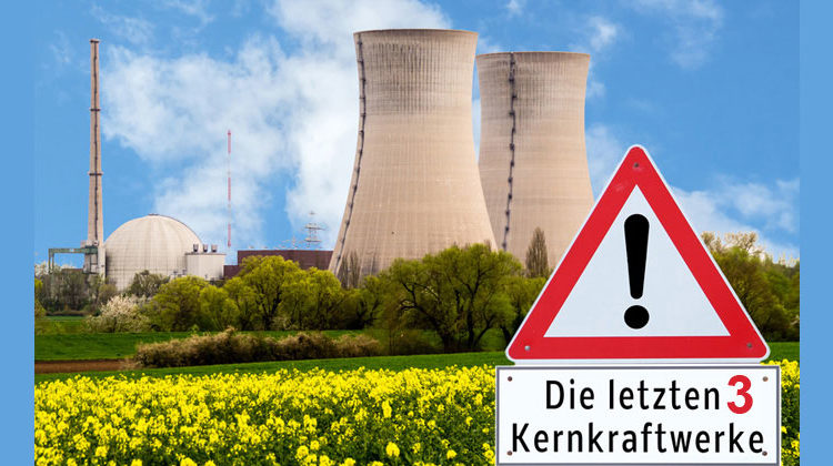 Fotolia.com | animaflora